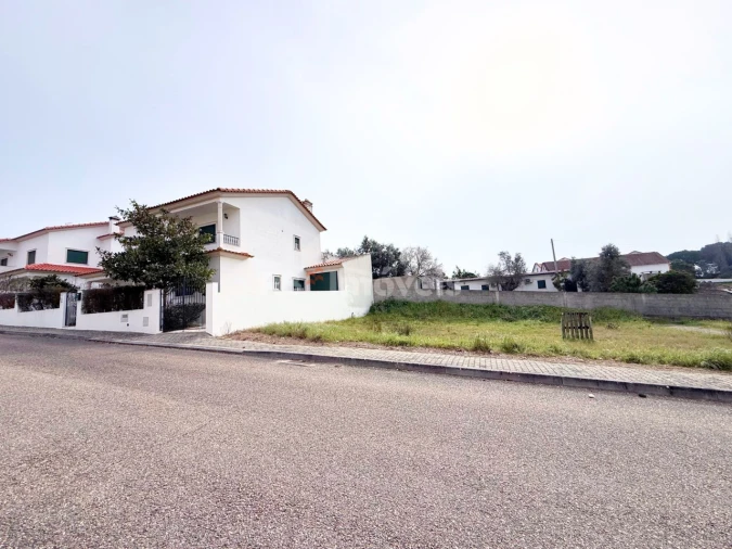 Terreno para Venda em Chamusca e Pinheiro Grande Foto 3