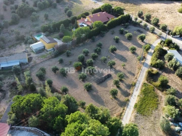 Terreno Agricola ou Rústico para Venda em Torres Novas (Santa Maria, Salvador e Santiago)