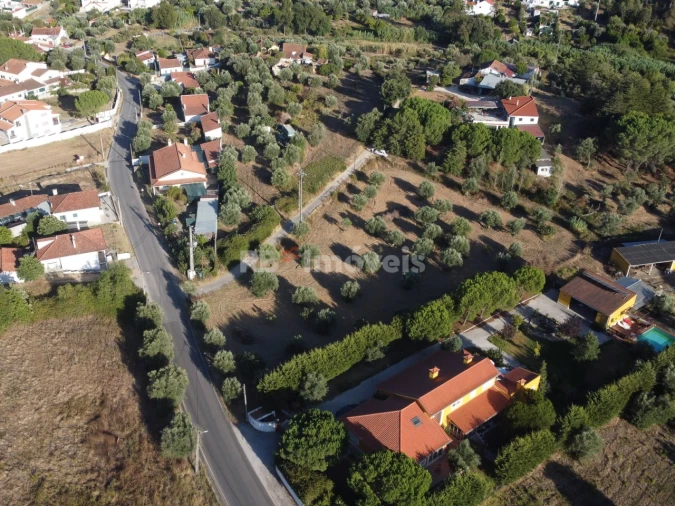 Terreno Agricola ou Rústico para Venda em Torres Novas (Santa Maria, Salvador e Santiago) Foto 18
