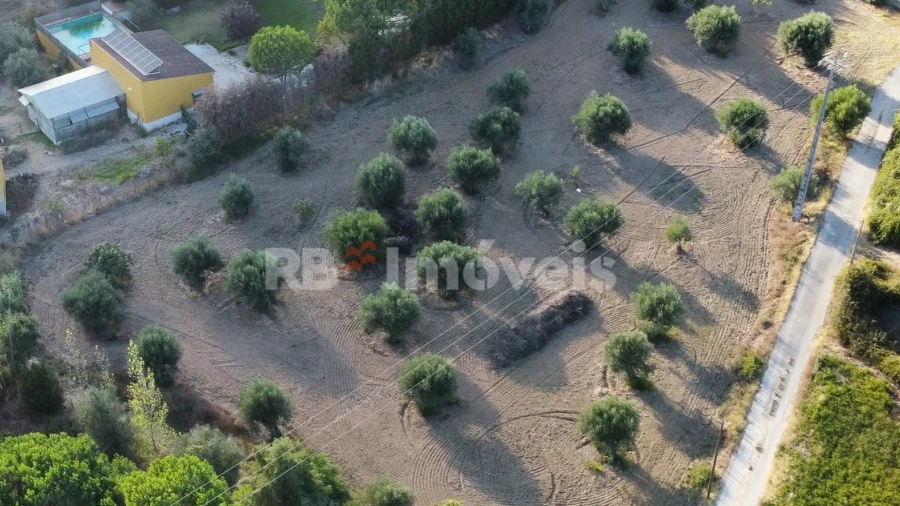 Terreno Agricola ou Rústico para Venda em Torres Novas (Santa Maria, Salvador e Santiago)