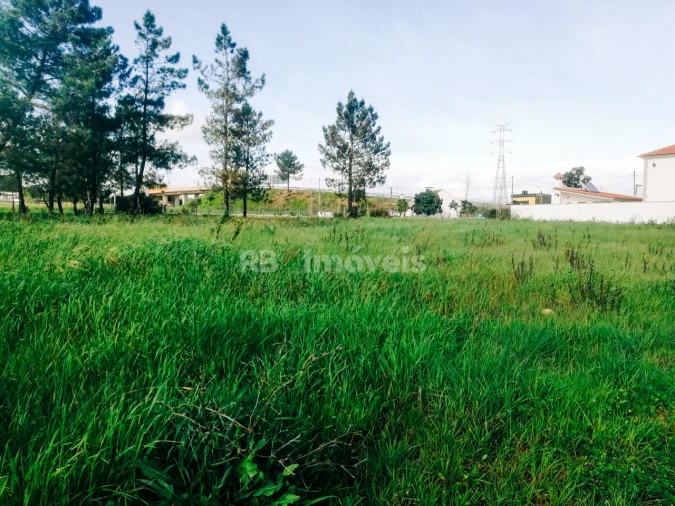 Terreno para Venda em Nossa Sra de Fatima Foto 5