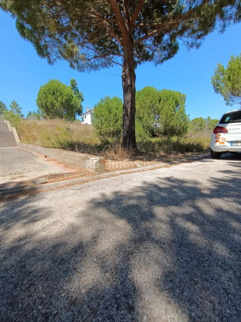 Terreno para Venda em Constancia
