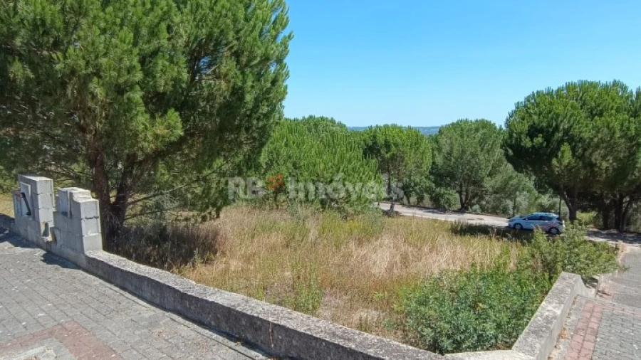 Terreno para Venda em Constancia