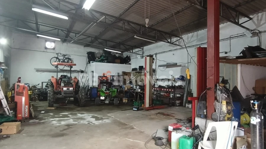 Armazém para Venda em Chamusca e Pinheiro Grande