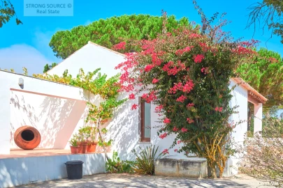 Moradia T8 para Venda em Sesimbra (Castelo)