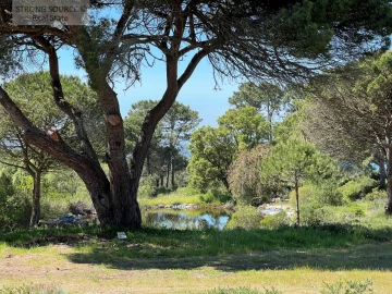 Moradia T8 para Venda em Sesimbra (Castelo)