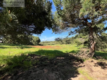 Moradia T8 para Venda em Sesimbra (Castelo)