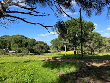 Moradia T8 para Venda em Sesimbra (Castelo)