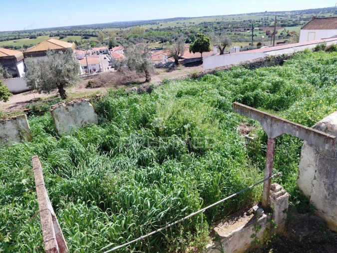 Moradia T4 para Venda em Monforte Foto 5