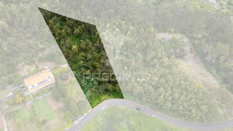 Terreno para Venda em Santo Antonio da Serra