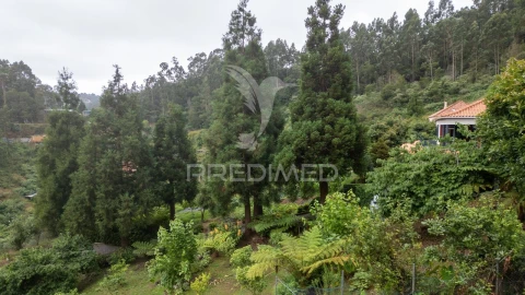 Terreno para Venda em Santo Antonio da Serra