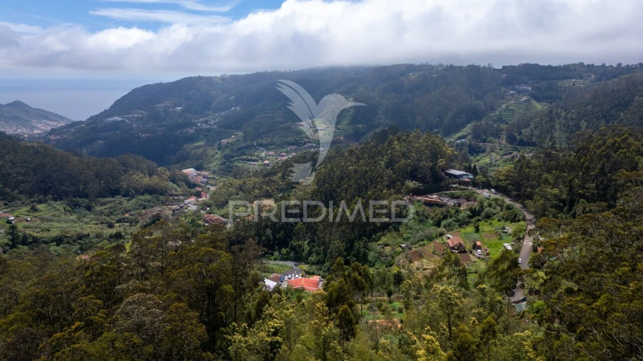 Terreno para Venda em Santo Antonio da Serra Foto 11