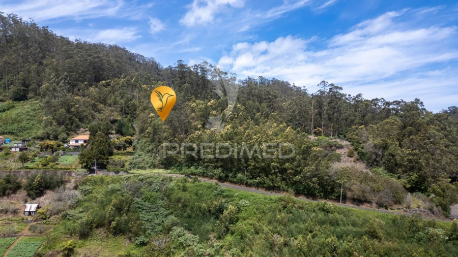 Terreno para Venda em Santo Antonio da Serra Foto 35