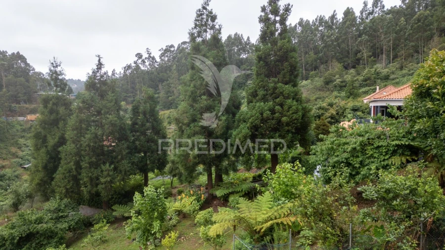 Terreno para Venda em Santo Antonio da Serra Foto 26