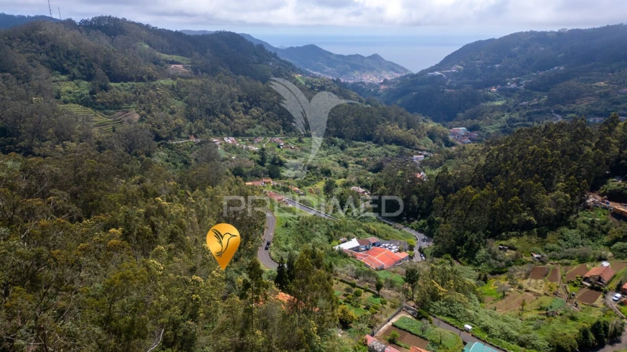 Terreno para Venda em Santo Antonio da Serra Foto 14