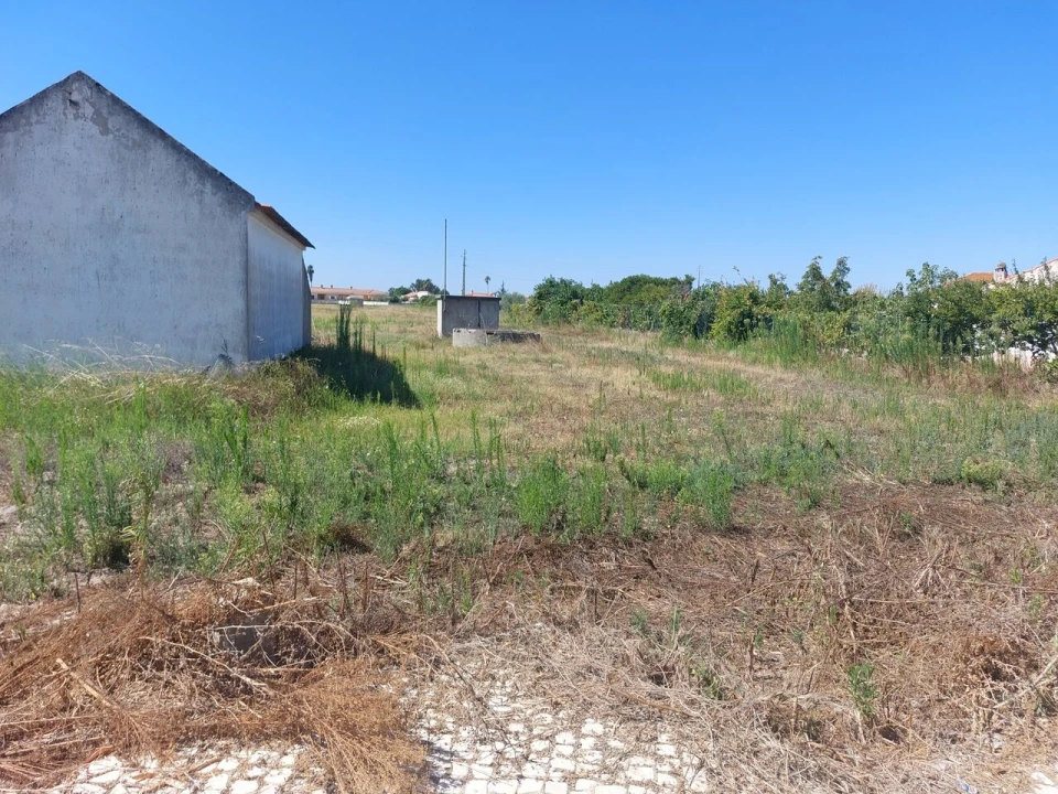 Terreno para Venda em Marinhais Foto 2