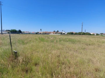 Terreno para Venda em Marinhais