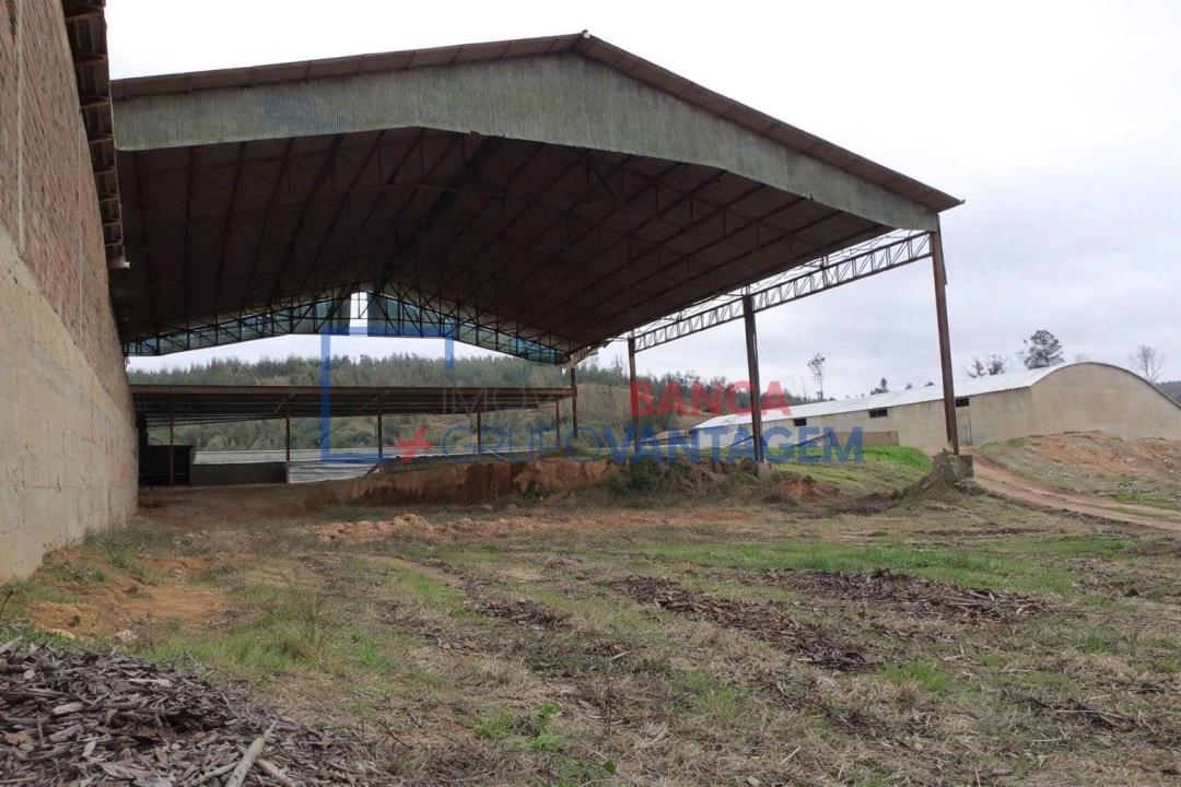Armazém para Venda em Candosa Foto 1
