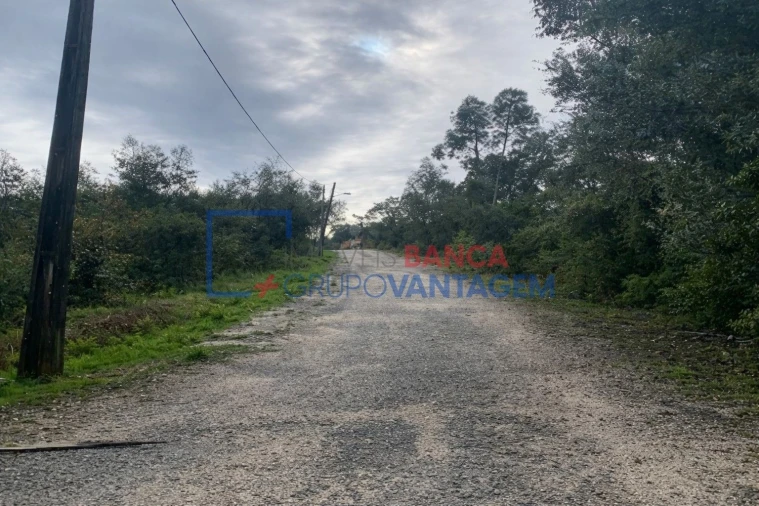 Terreno Misto para Venda em Eiras e São Paulo de Frades Foto 2