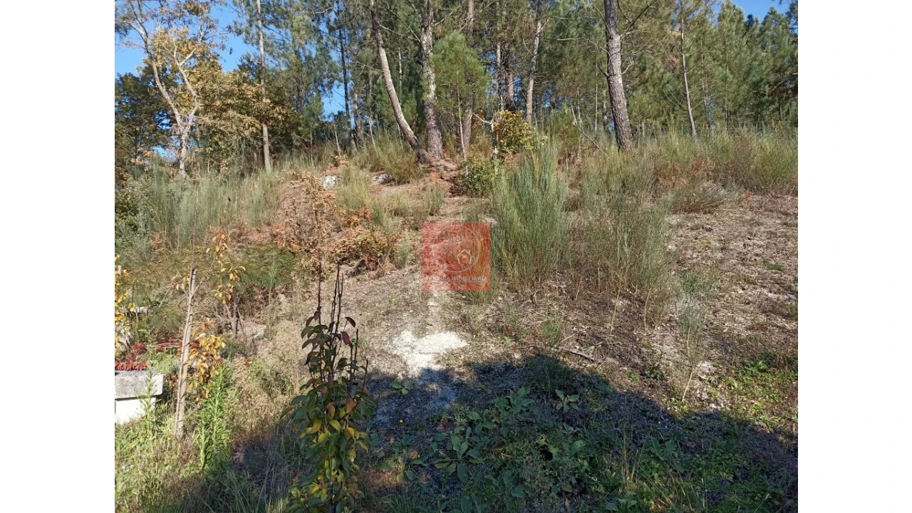 Quinta T2 para Venda em Fregim Foto 42