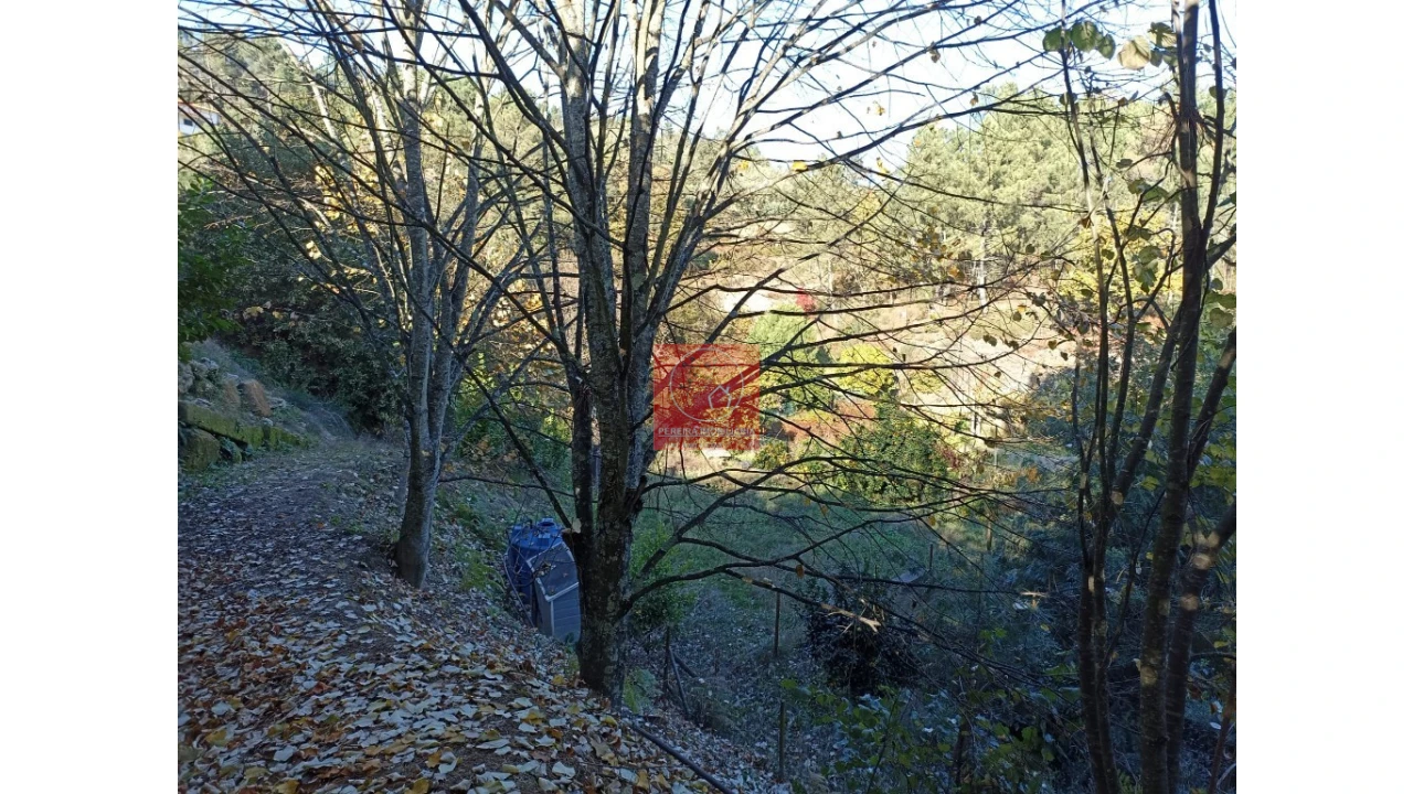 Quinta T2 para Venda em Fregim Foto 48