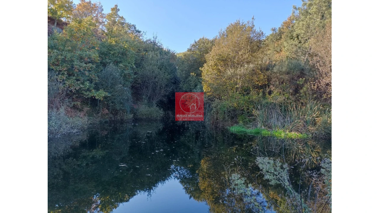 Quinta T2 para Venda em Fregim Foto 36