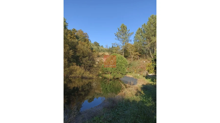 Quinta T2 para Venda em Fregim Foto 37