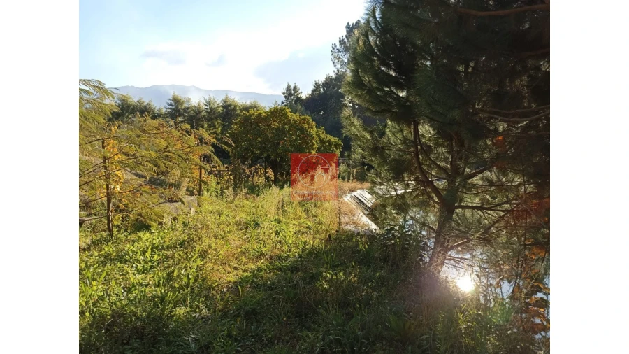 Quinta T2 para Venda em Fregim Foto 38