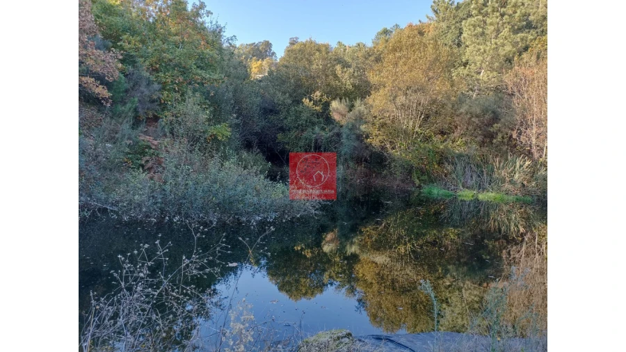 Quinta T2 para Venda em Fregim Foto 44