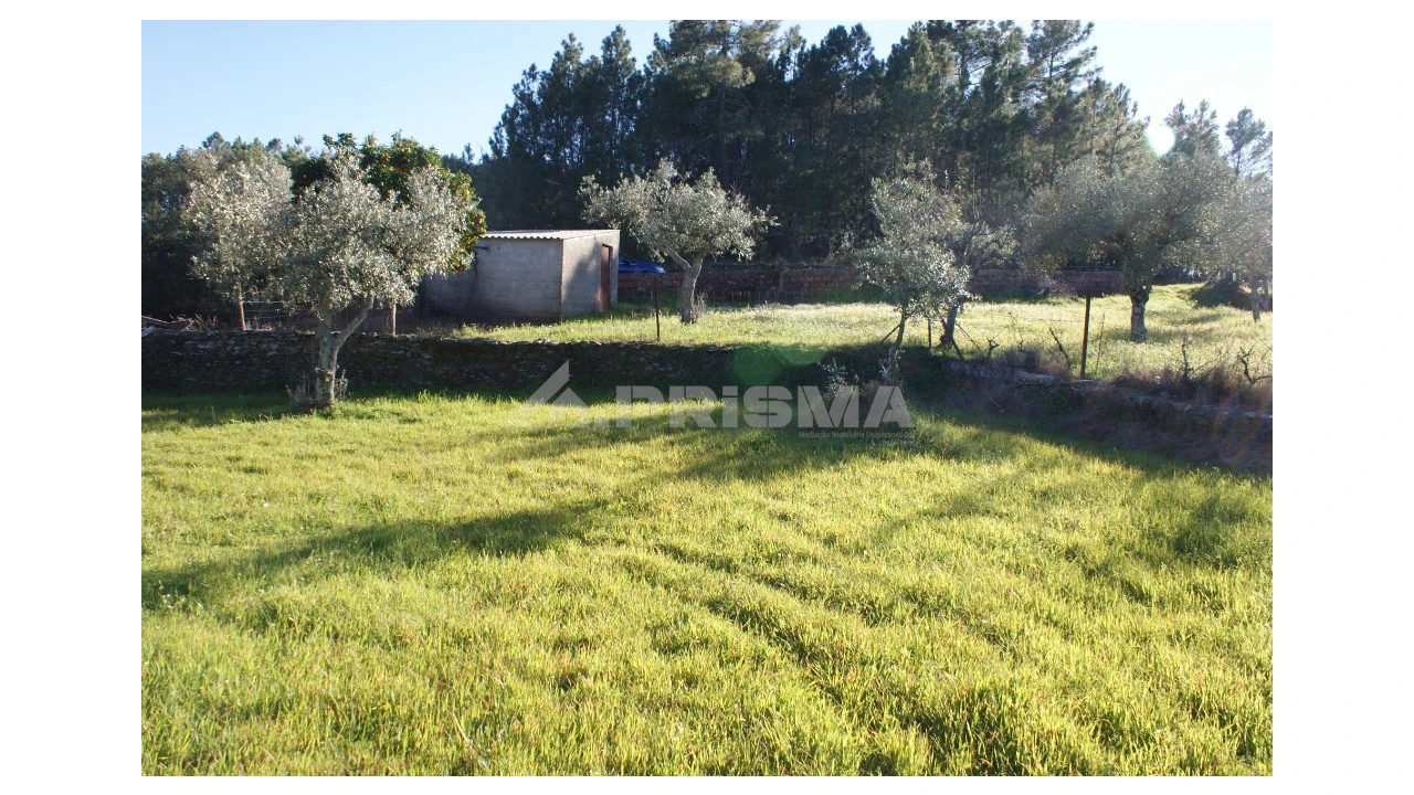 Terreno para Venda em Cebolais de Cima e Retaxo Foto 7