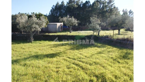 Terreno para Venda em Cebolais de Cima e Retaxo