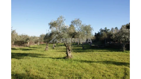 Terreno para Venda em Cebolais de Cima e Retaxo