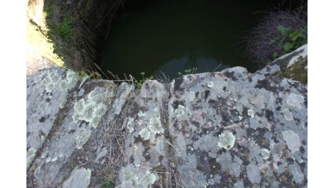 Terreno para Venda em Cebolais de Cima e Retaxo