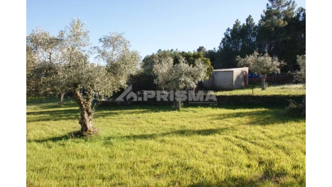 Terreno para Venda em Cebolais de Cima e Retaxo