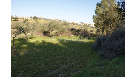 Terreno para Venda em Cebolais de Cima e Retaxo