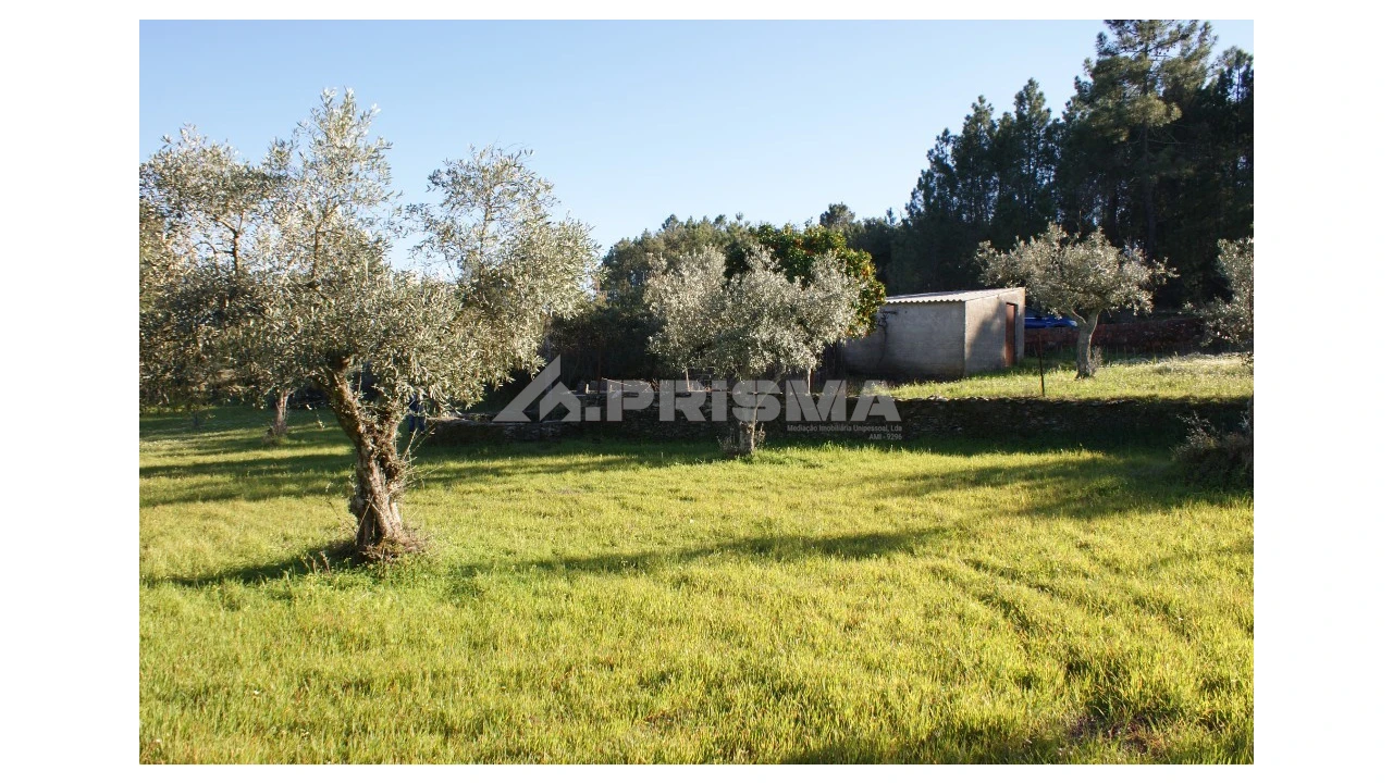 Terreno para Venda em Cebolais de Cima e Retaxo Foto 4
