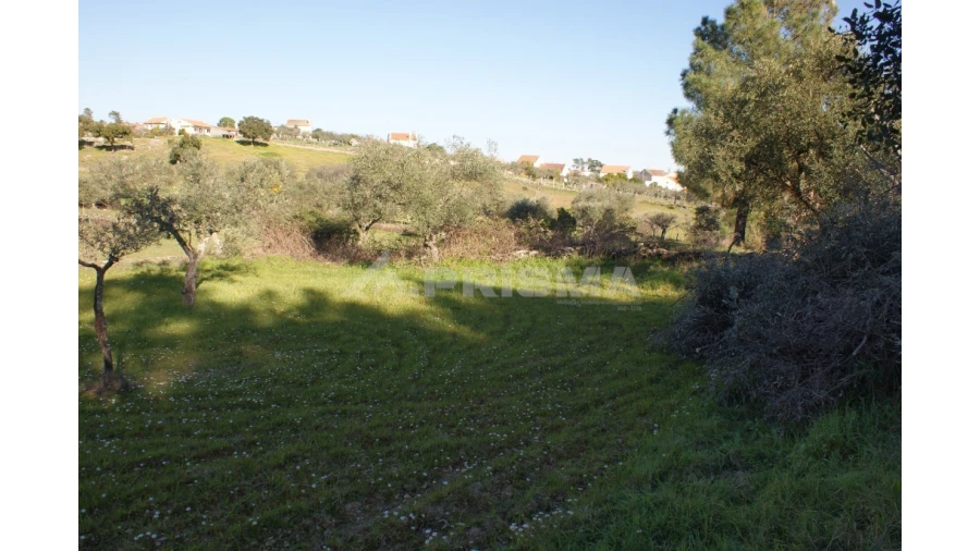 Terreno para Venda em Cebolais de Cima e Retaxo Foto 5