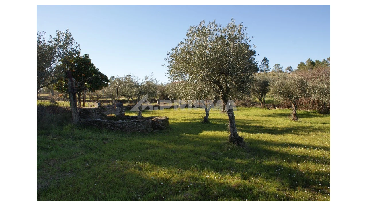 Terreno para Venda em Cebolais de Cima e Retaxo Foto 1