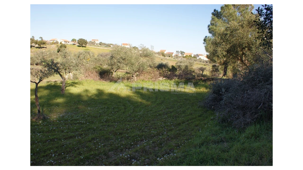 Terreno para Venda em Cebolais de Cima e Retaxo Foto 5