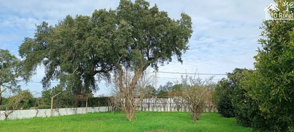 Moradia T3 para Venda em Glória do Ribatejo e Granho