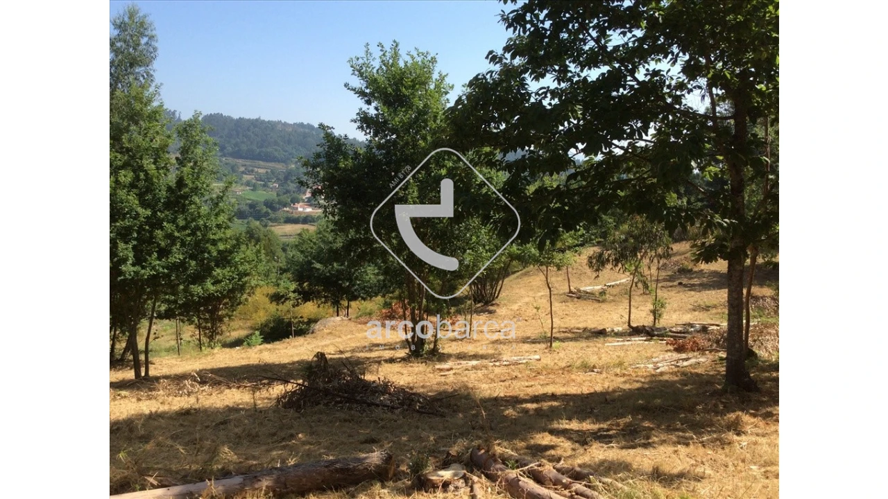 Terreno para Venda em Souto e Tabaçô Foto 1