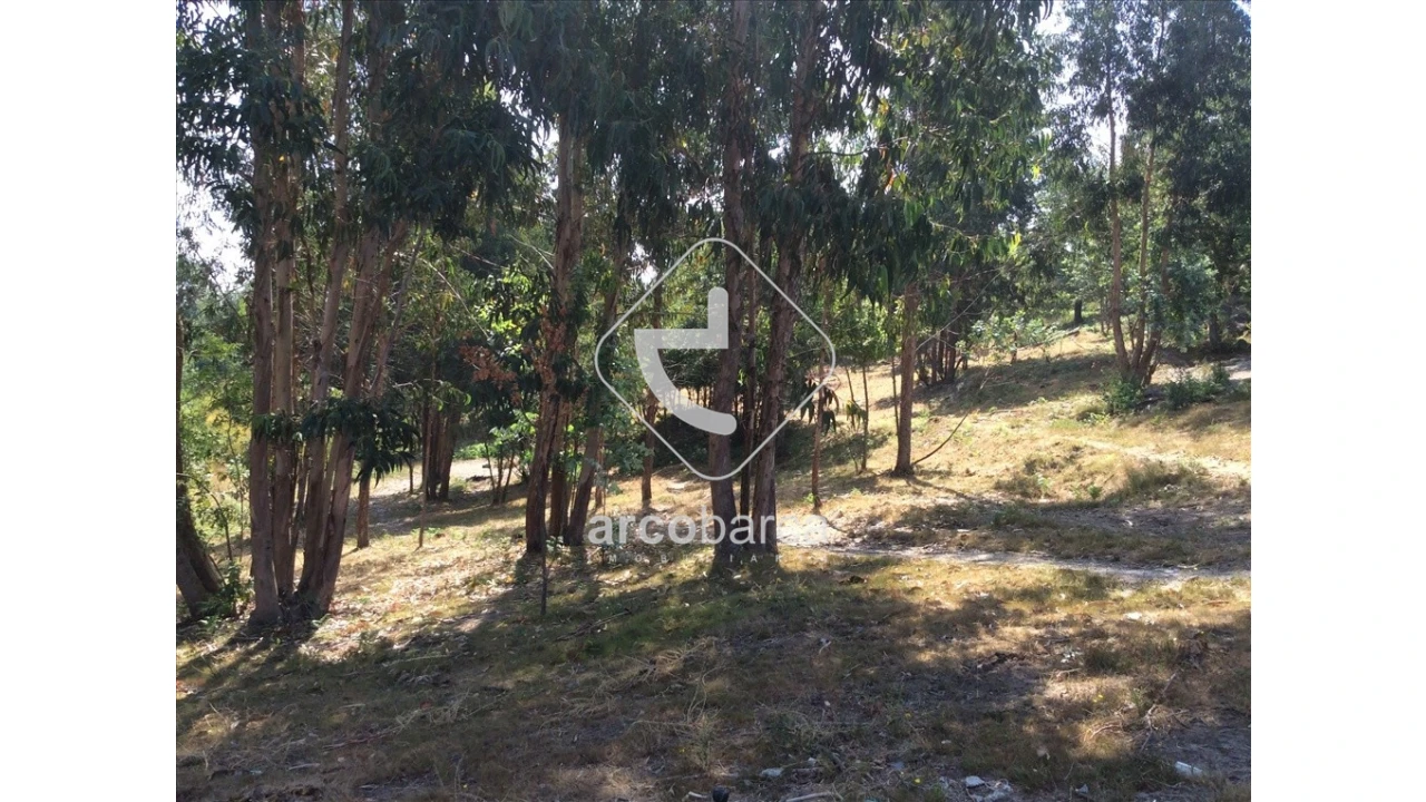 Terreno para Venda em Souto e Tabaçô Foto 4