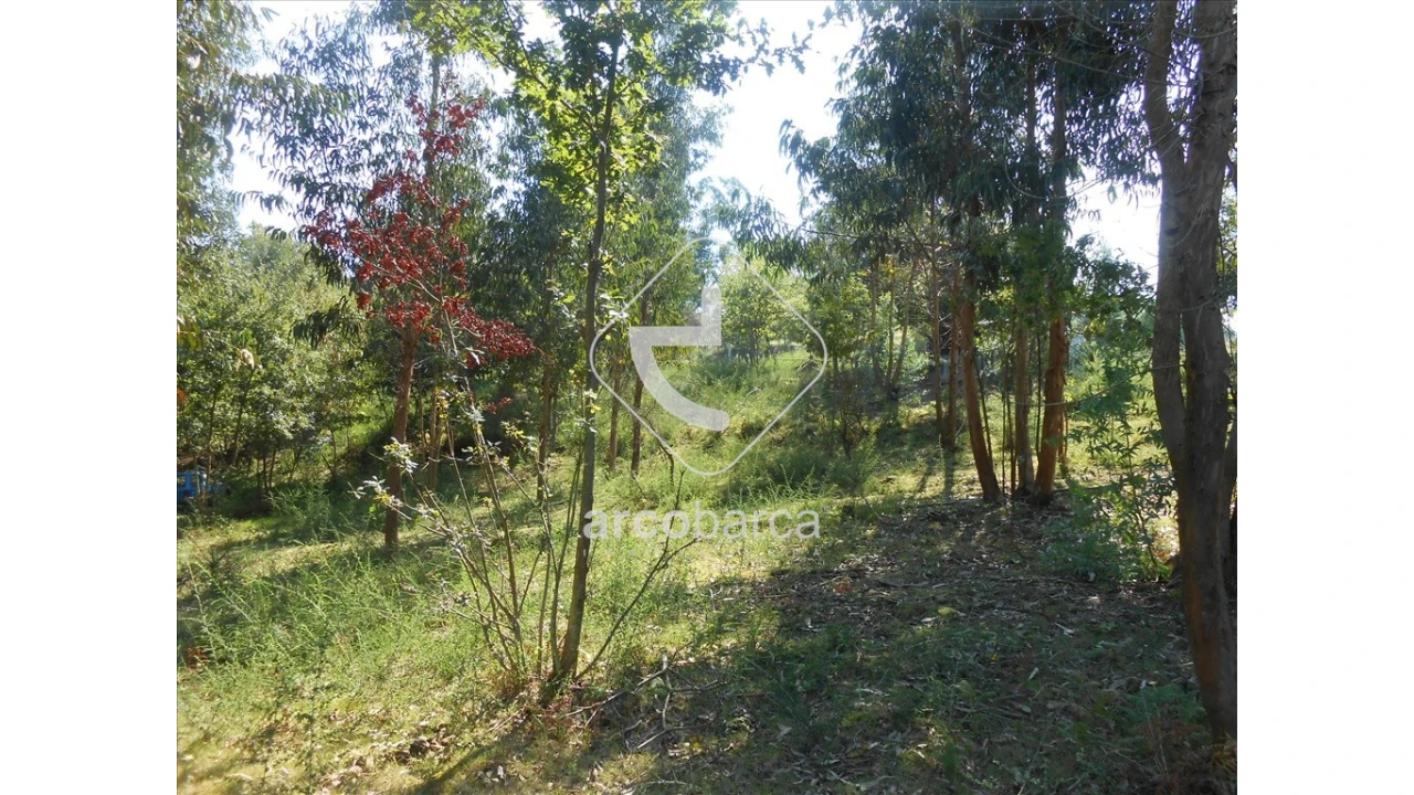 Terreno para Venda em Souto e Tabaçô Foto 2