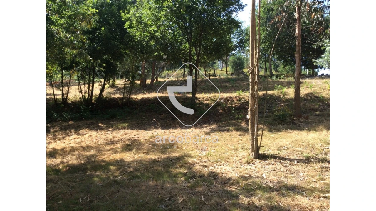 Terreno para Venda em Souto e Tabaçô Foto 6