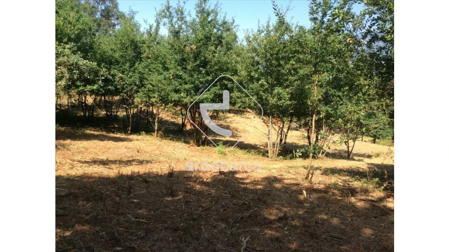 Terreno para Venda em Souto e Tabaçô Foto 10