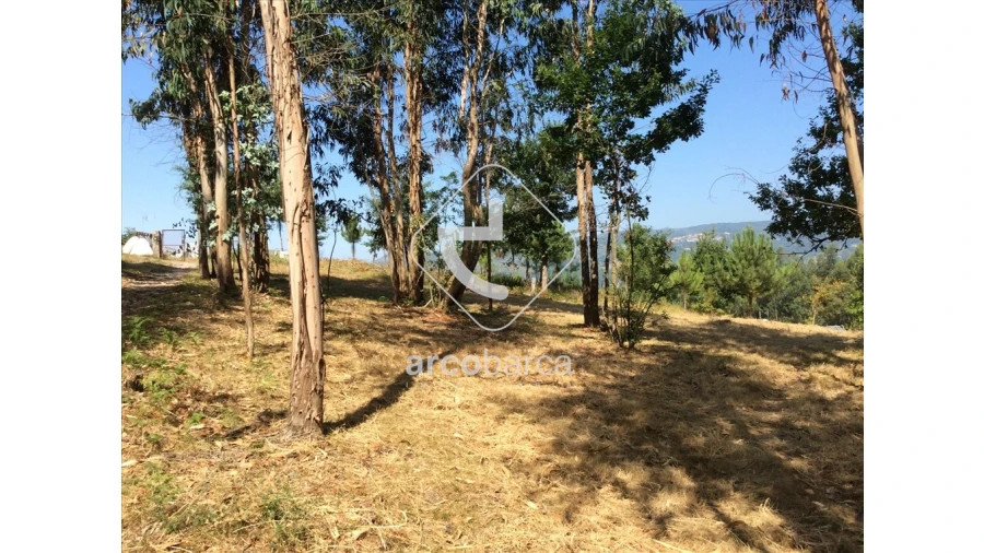 Terreno para Venda em Souto e Tabaçô Foto 7