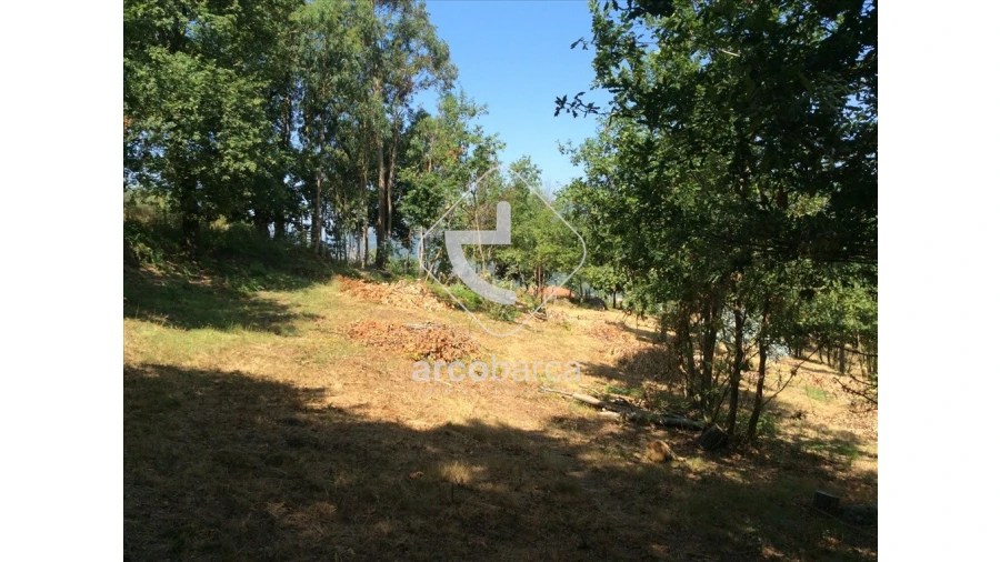 Terreno para Venda em Souto e Tabaçô Foto 12