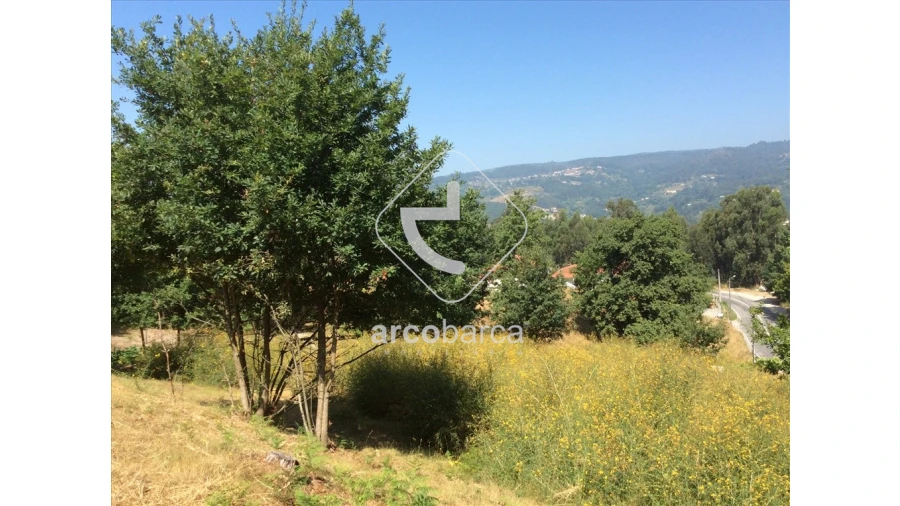 Terreno para Venda em Souto e Tabaçô Foto 9