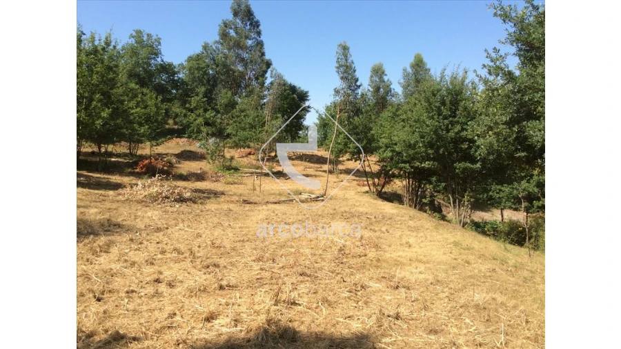 Terreno para Venda em Souto e Tabaçô Foto 8