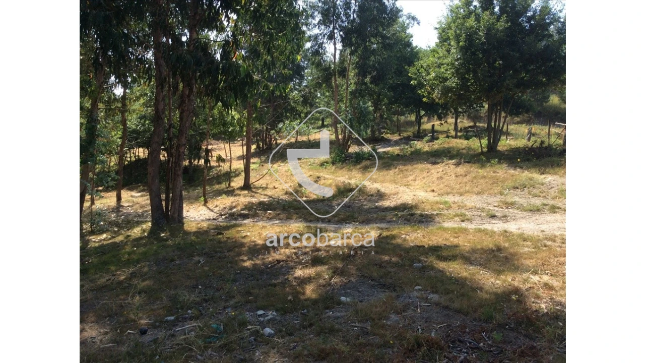 Terreno para Venda em Souto e Tabaçô Foto 5